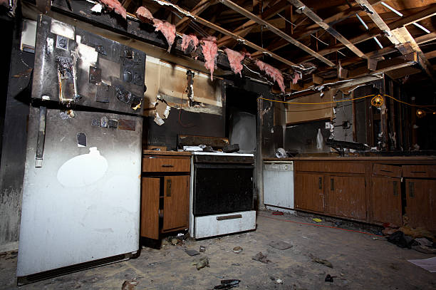 Affordable Fire Damage Removal solutions in New Lisbon, WI
